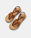 SEASTAR - Caramel Bruin