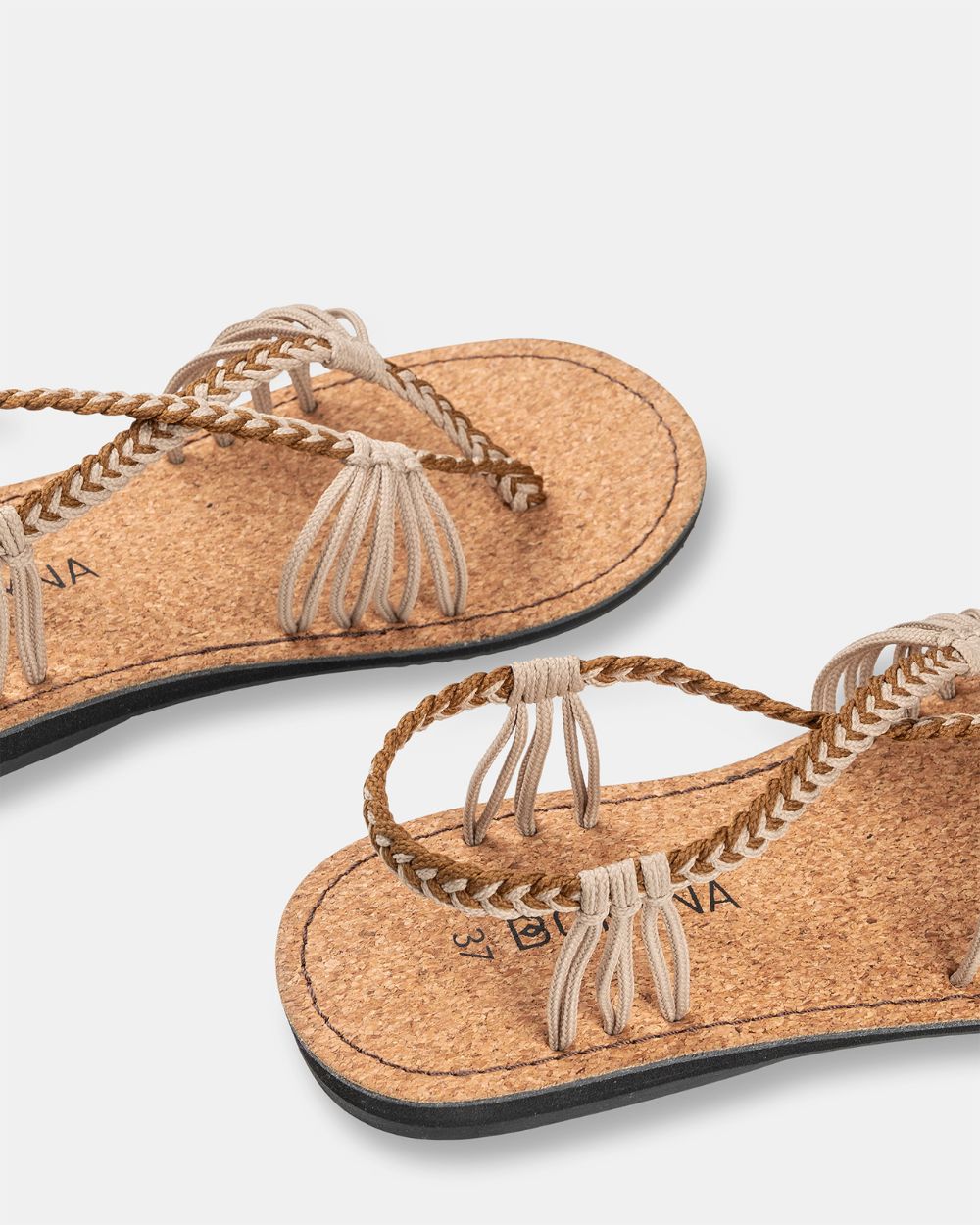 SEASTAR BREED – Koffie