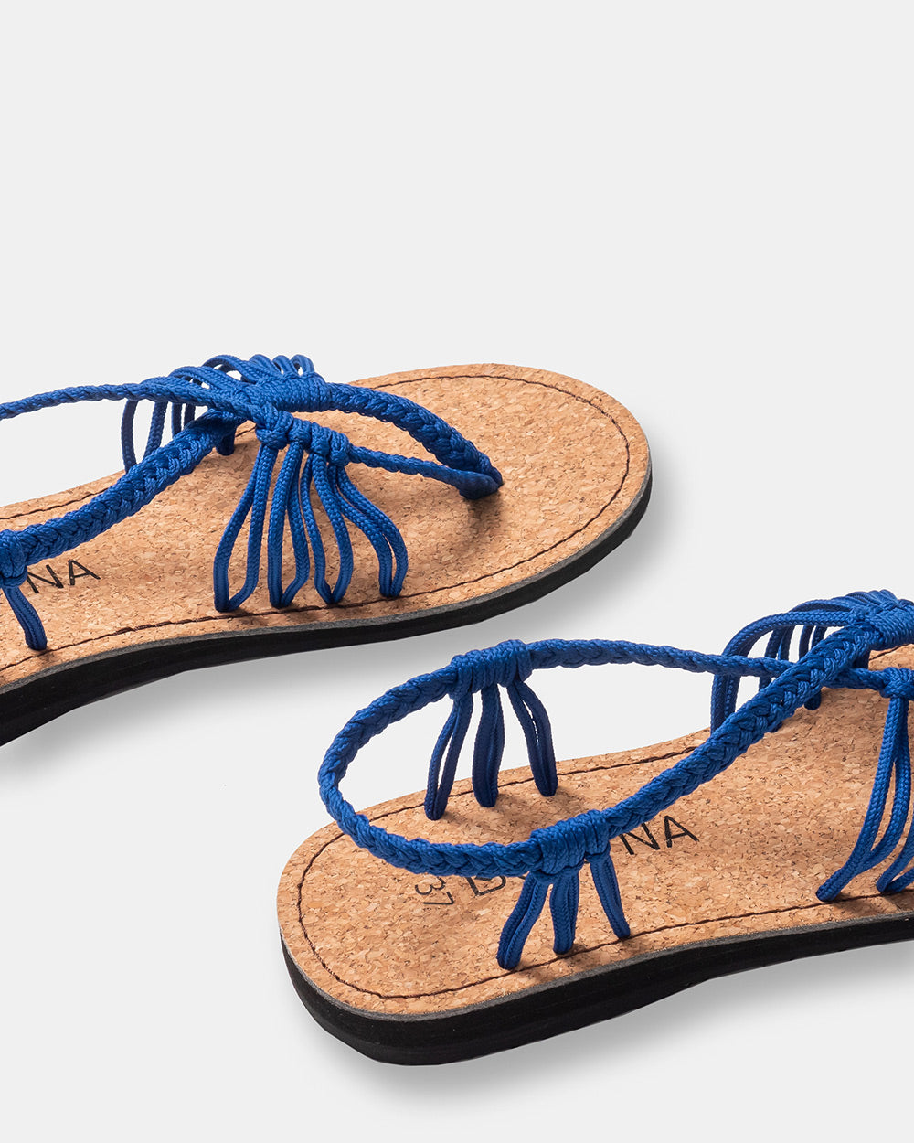 SEASTAR - Koningsblauw