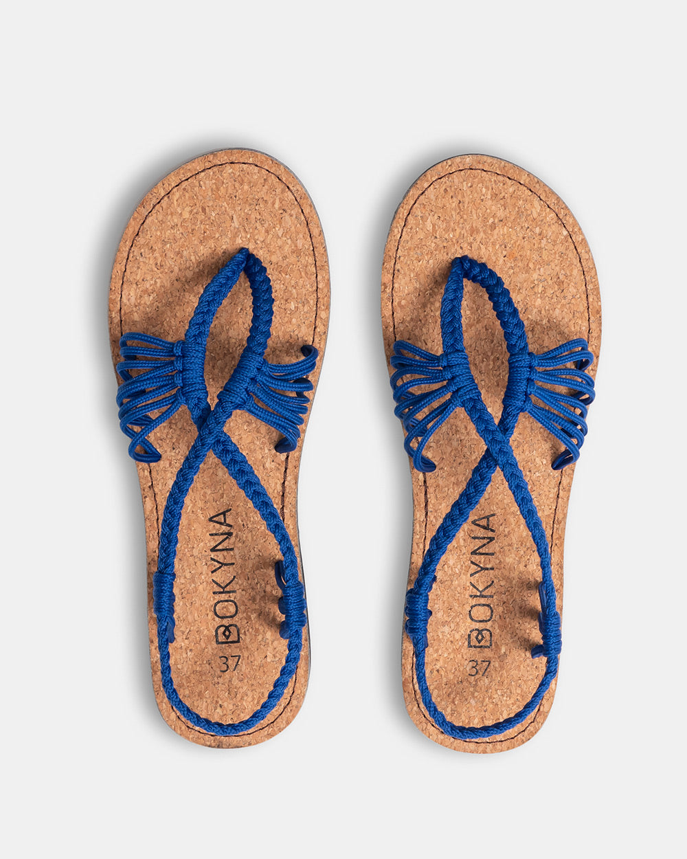 SEASTAR - Koningsblauw